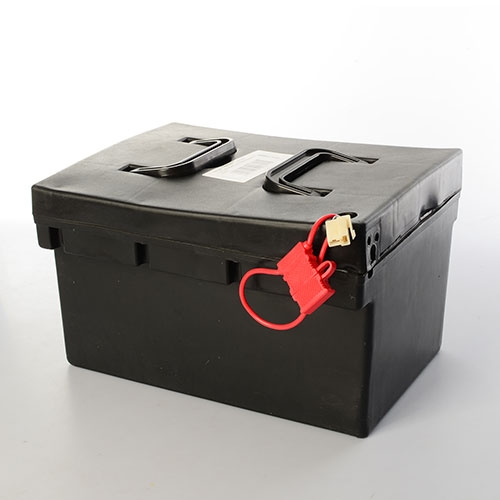 Батарея 48V/20AH 1000D-BATTERY-SET для электромобиля 1000D