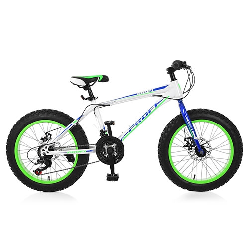 Спортивный велосипед 20 дюймов Profi EB20POWER 1.0 S20.3 стальная рама 13" (белый)