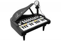 купить Детское пианино синтезатор Baoli "Маленький музикант" с микрофоном 24 клавиши (черный)