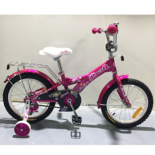 Велосипед для детей двухколесный 20 дюймов Profi G2062 Original girl (малиновый)