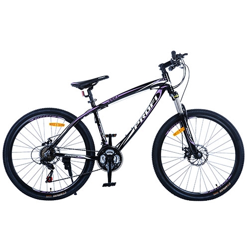 Спортивный 26 дюймовый велосипед G26UTILITY A26.2 PROF1 (черный с сиреневым)