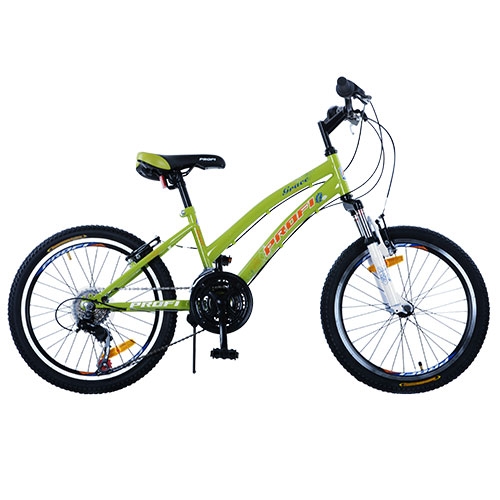 Спортивный велосипед 20 дюймов Profi G20GRACE S20.2 (зеленый)