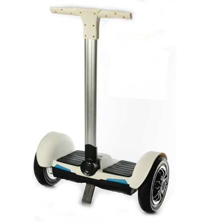 фото Сигвей 1-АР-1 с матовой покраской (белый)