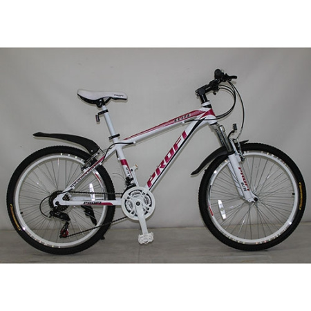 фото Спортивный велосипед 24 дюйма Profi ELITE 24.6 (бело-розовый)