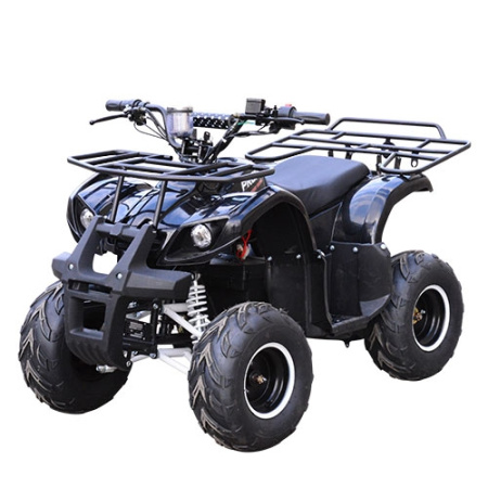 фото Мощный квадроцикл Profi HB-EATV 1000D-2 мотор 1000W (черный)