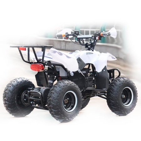 фото Супер мощный Квадрацикл HB-EATV 1000E-1 с надувными колесами, музыка, USB, SD (белый)